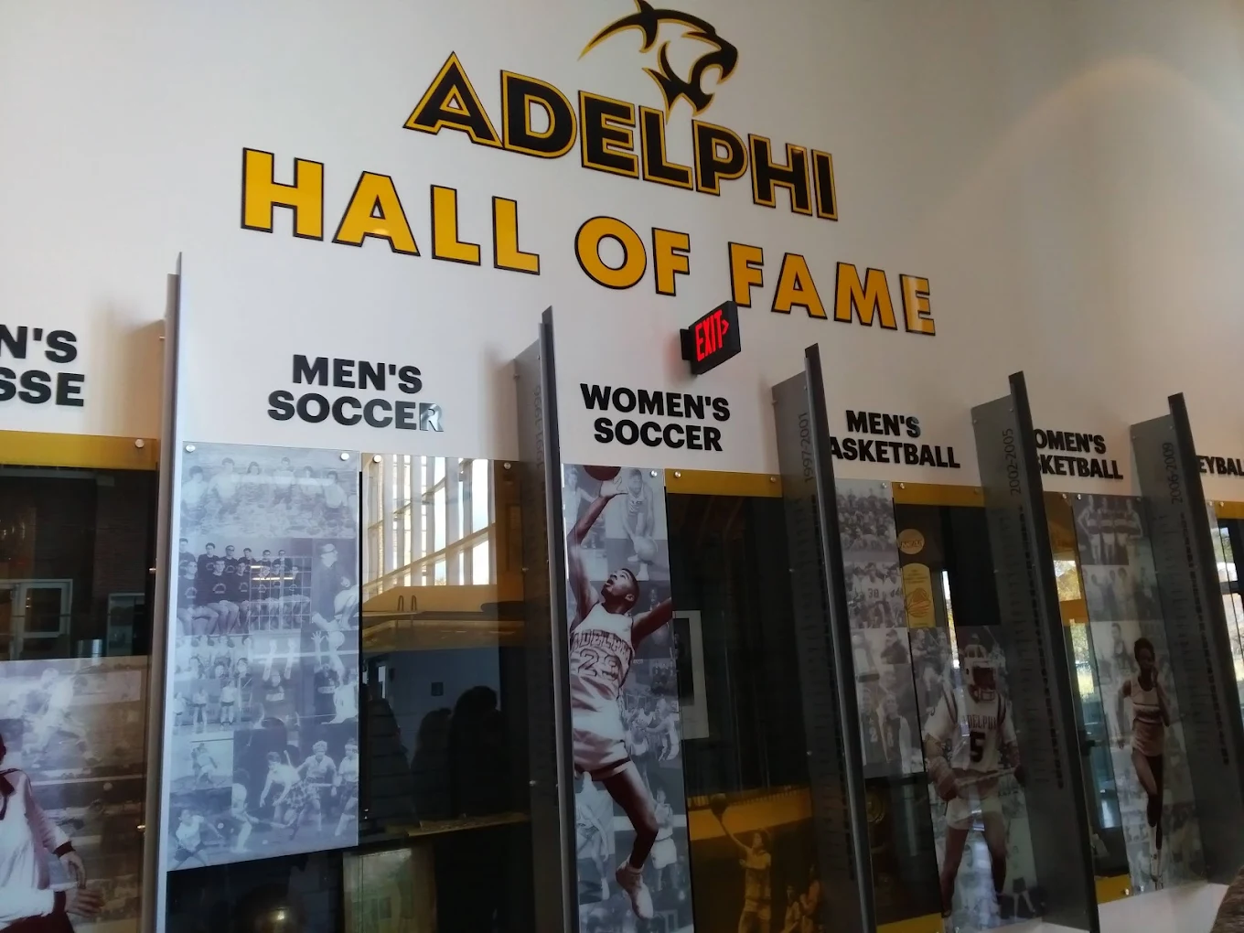 Adelphi University