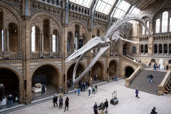 Bloomsbury Institute London