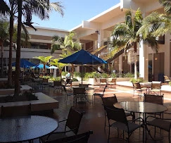 California State University Long Beach