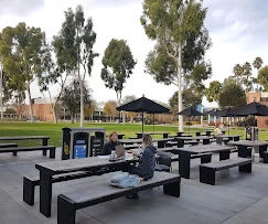 California State University Long Beach