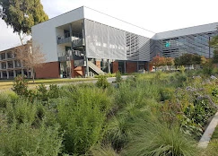 California State University Long Beach