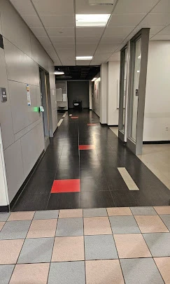 California State University (Northridge)