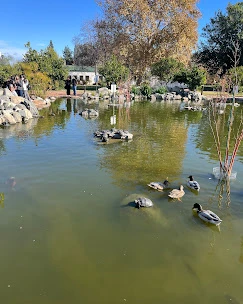 California State University (Northridge)