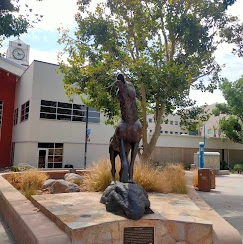 California State University, San Bernardino