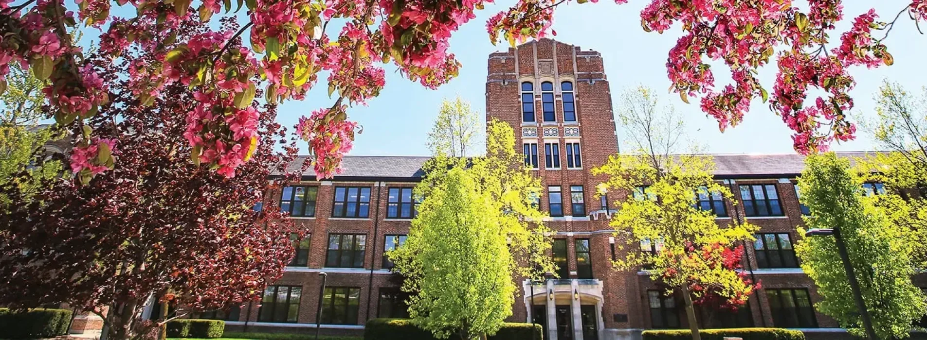 Central Michigan University campus