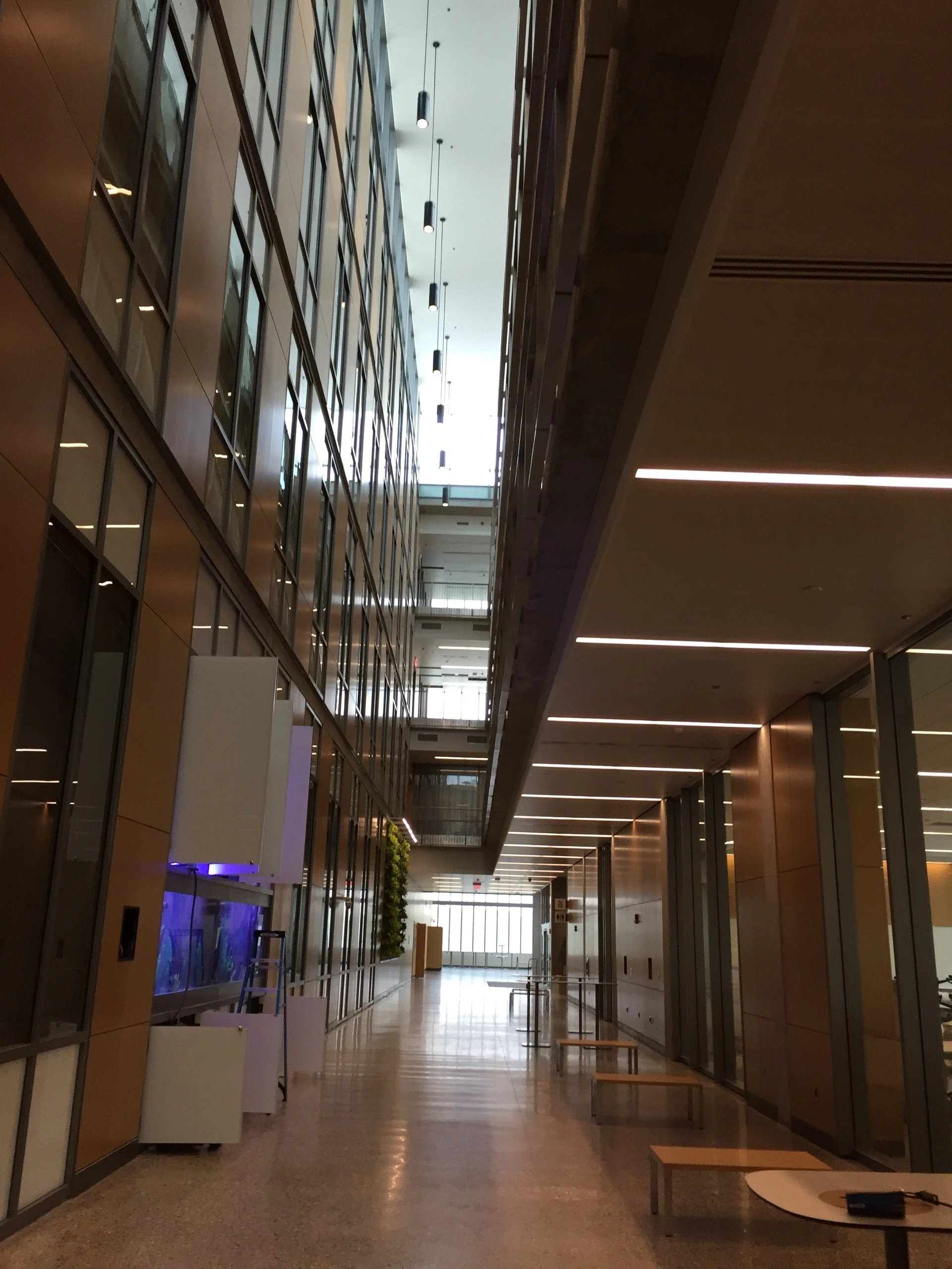 Central Michigan University