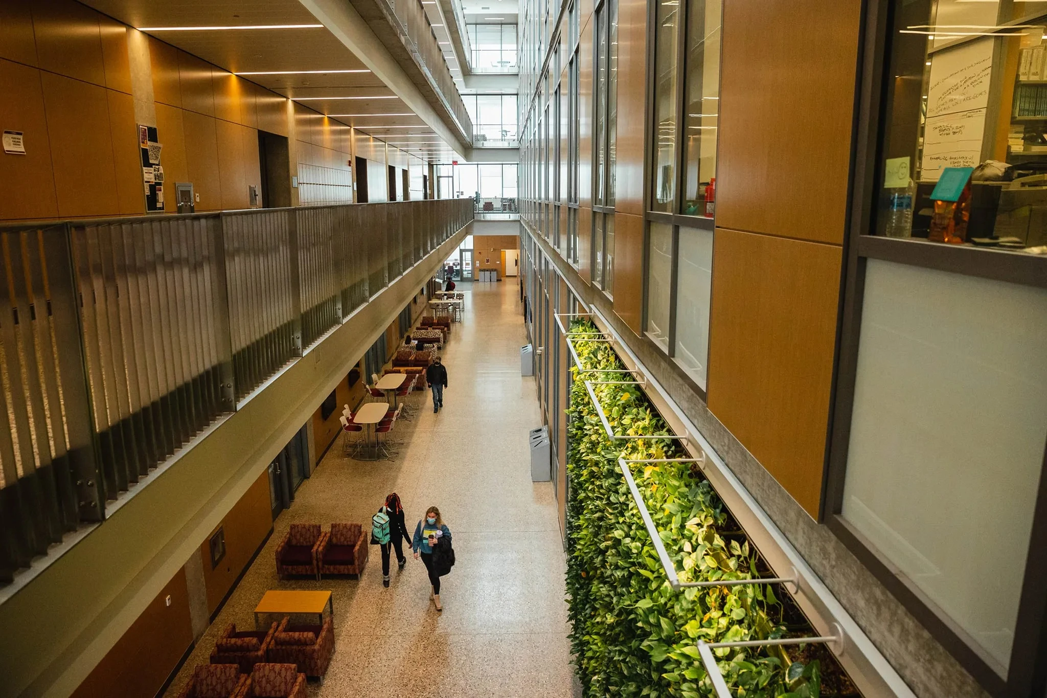 Central Michigan University