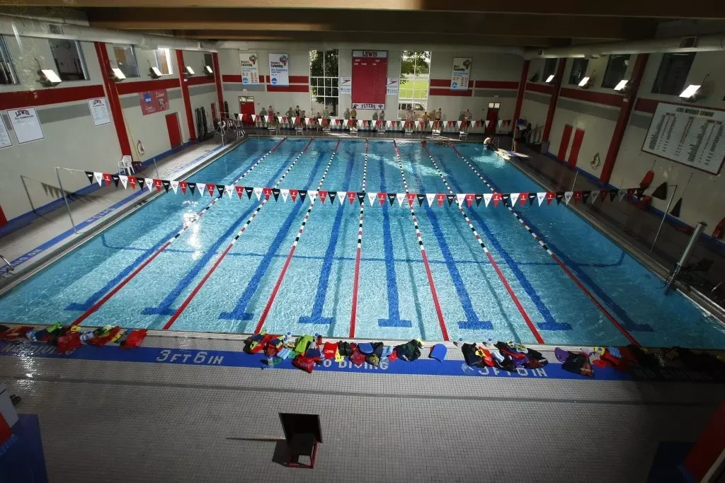 Lewis University- Chicago