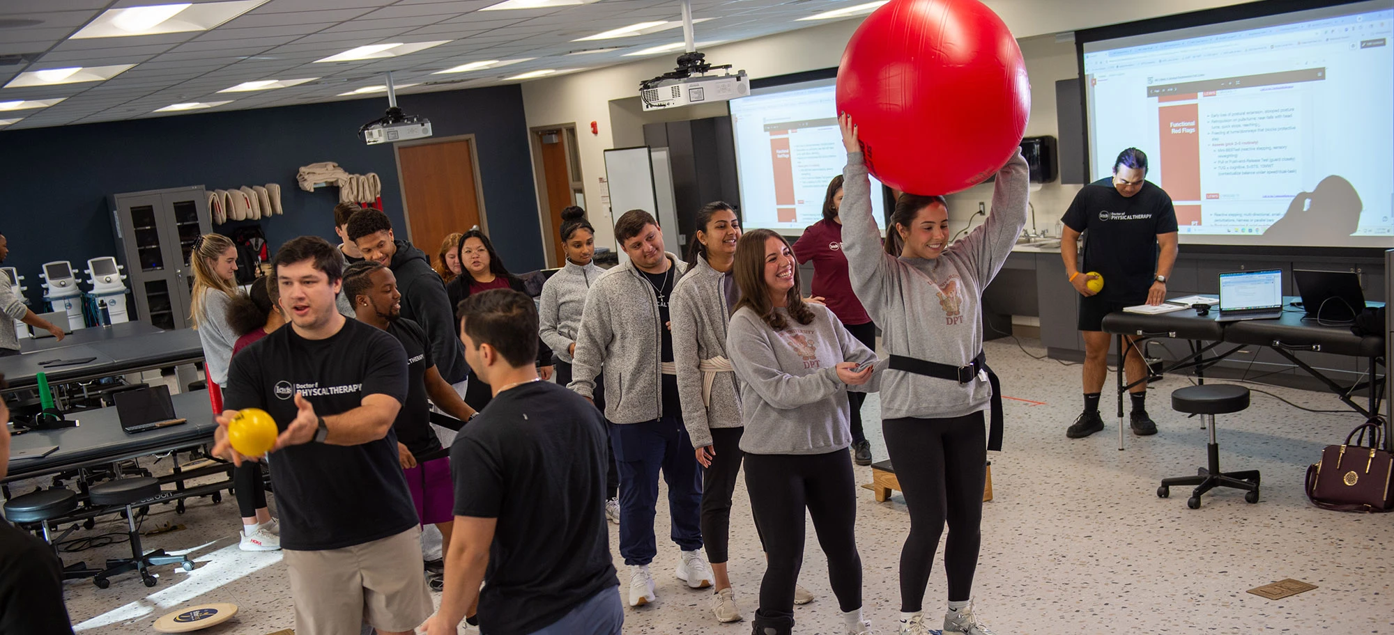 Lewis University- Chicago