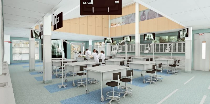 Long Island University