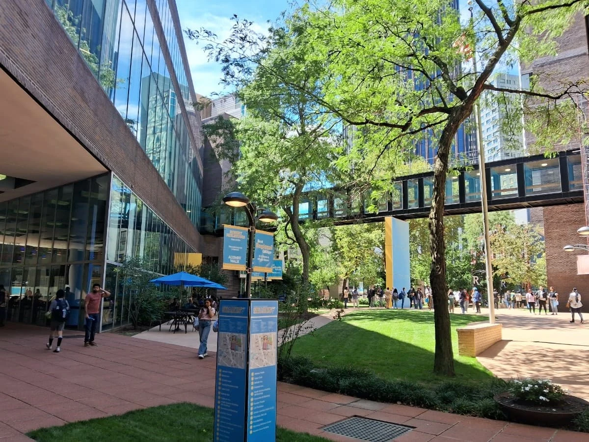 Long Island University