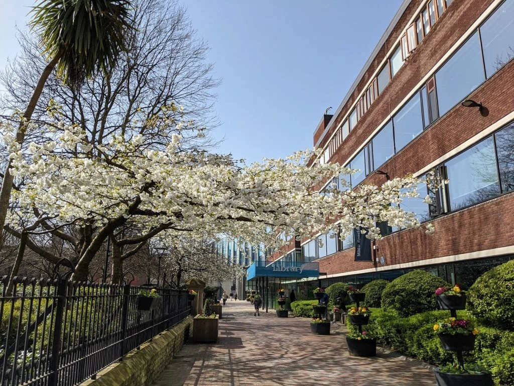 Manchester Metropolitan University