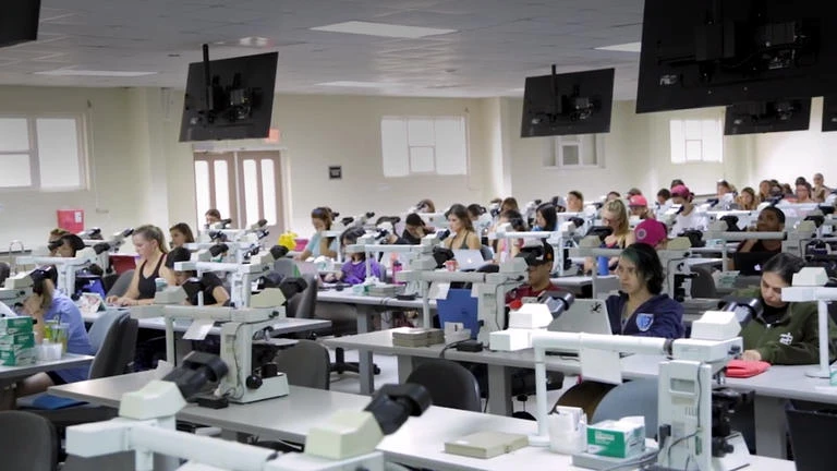 Ross University School Of Veterinary Medicine