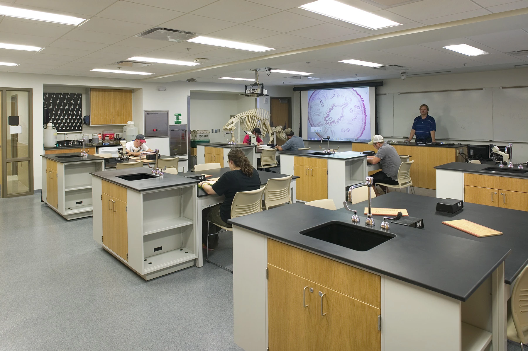 Southeast Missouri State University