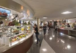 State University Of New York