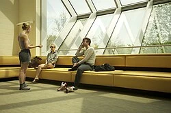 State University Of New York