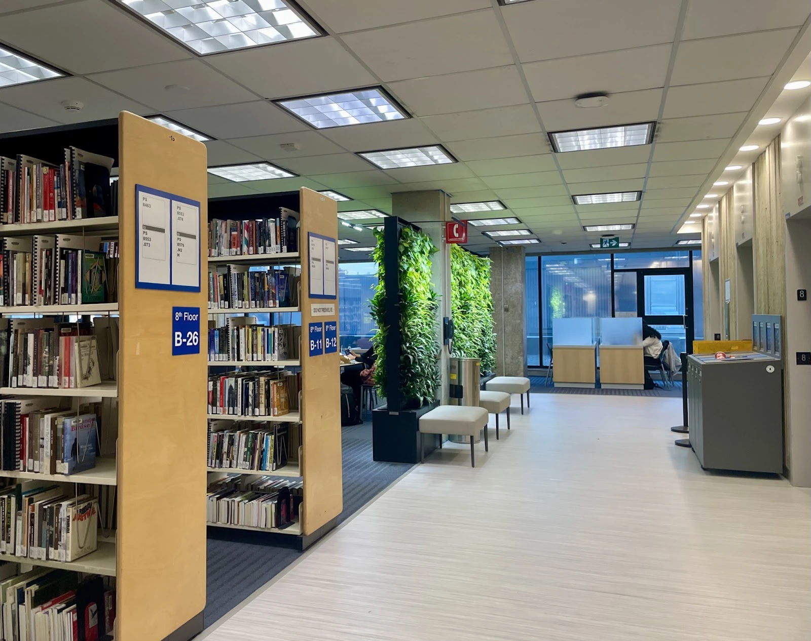 Toronto Metropolitan University International College