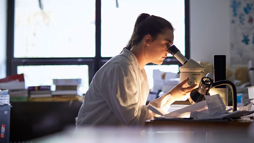 Unitec Institute Of Technology