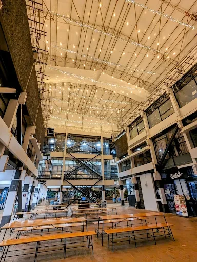 University Of Auckland