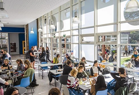 University Of Brighton