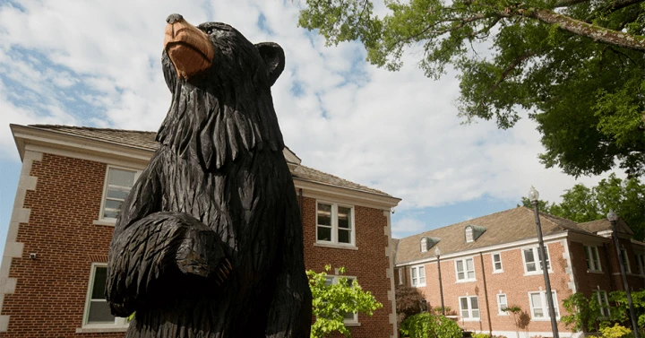 University Of Central Arkansas