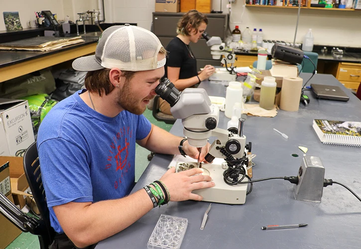 University Of Dayton