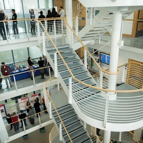 University Of Dundee