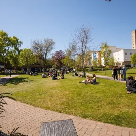 University Of Dundee