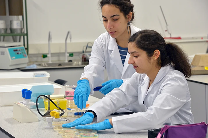 University Of Greater Manchester