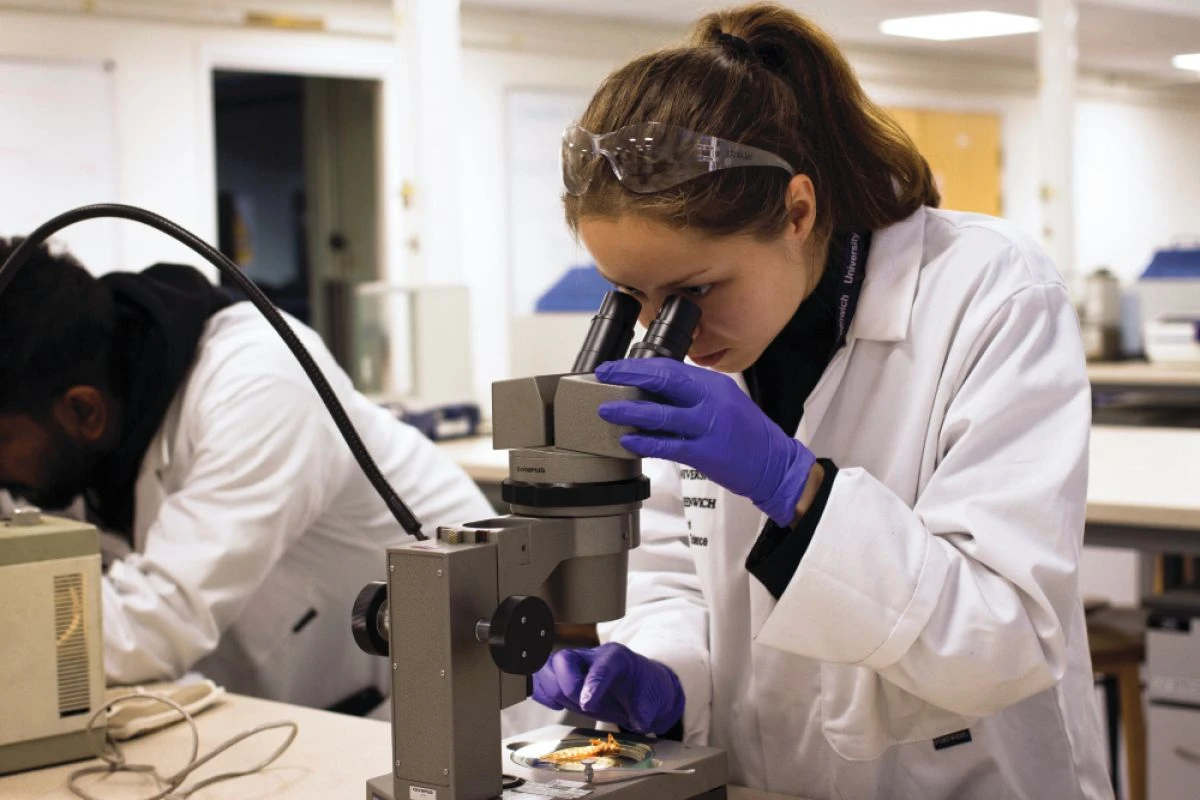 University Of Greenwich