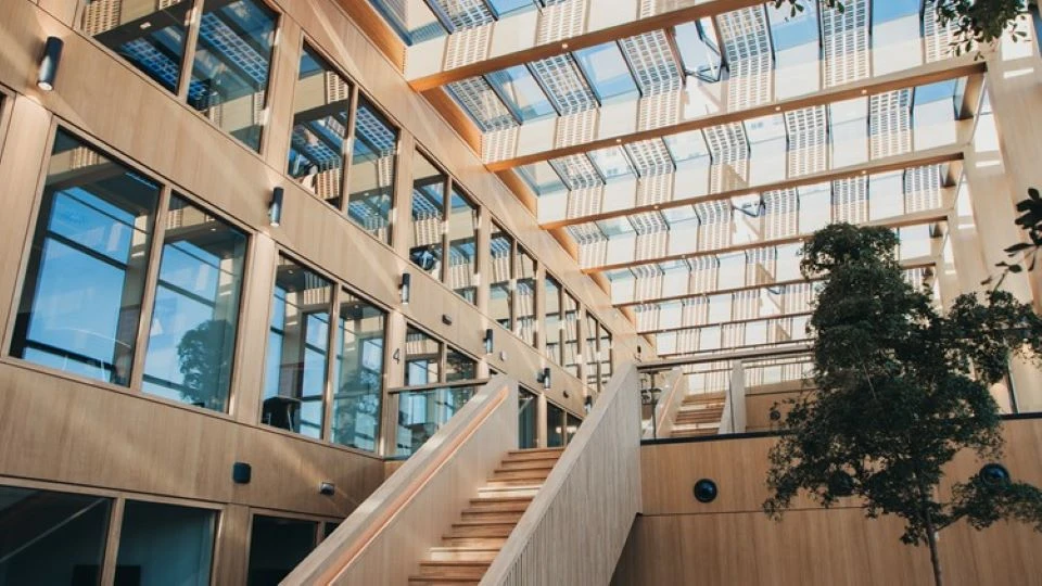 University Of Limassol