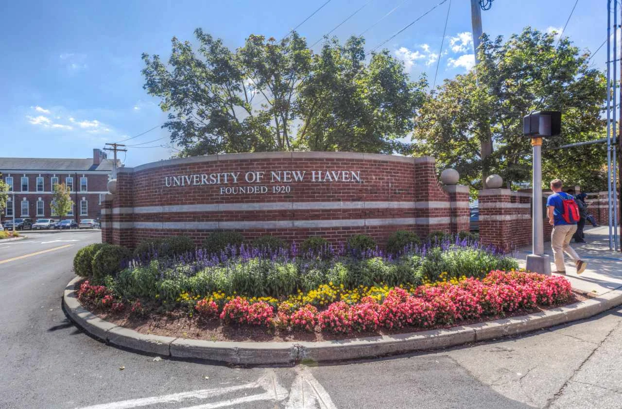 University Of New Haven