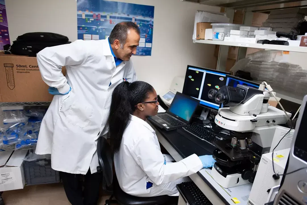 University Of New Haven