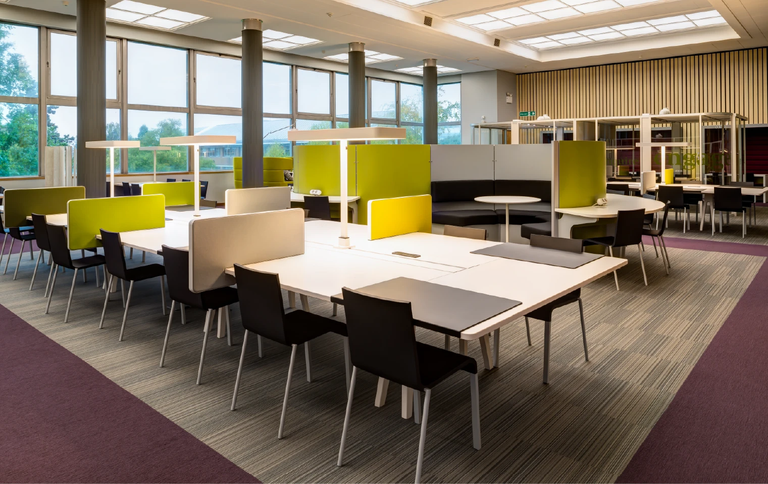 University Of Reading