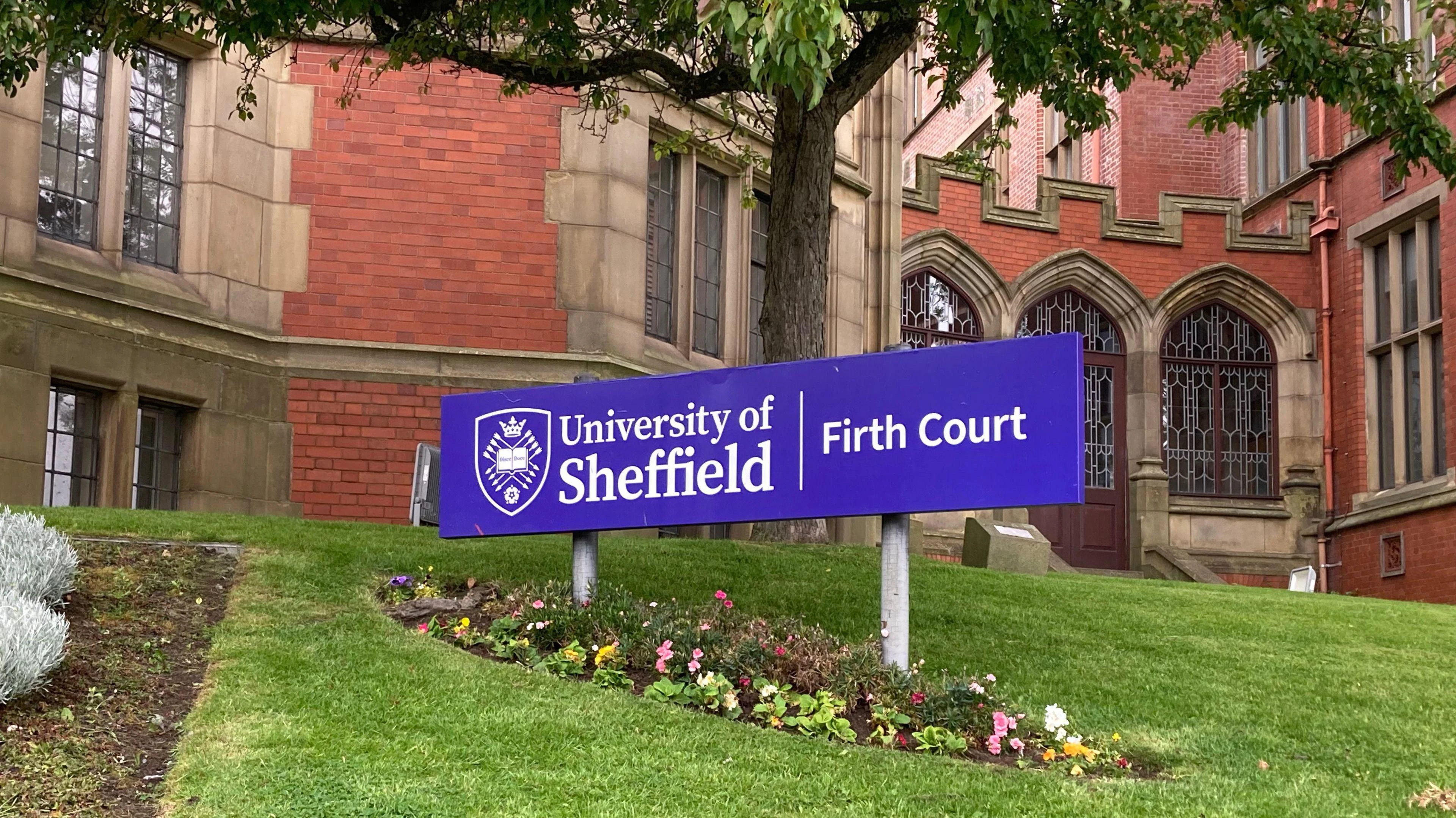 University Of Sheffield