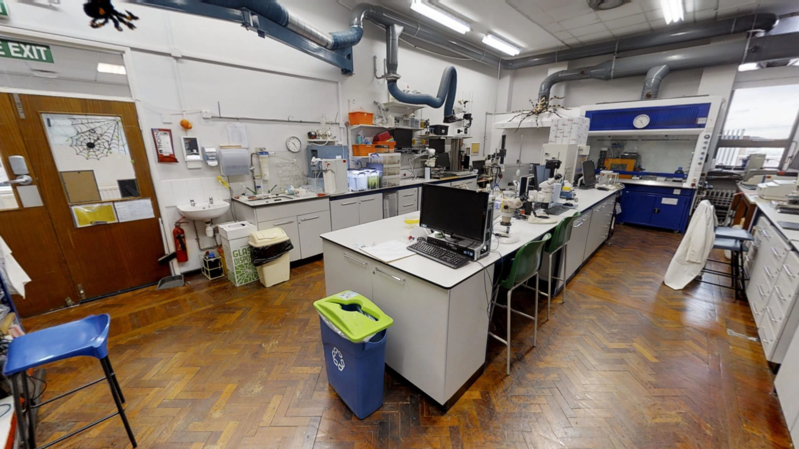 University Of Sheffield