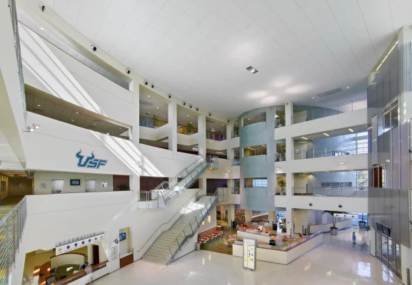 University Of South Florida