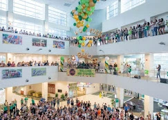 University Of South Florida