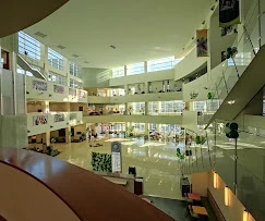 University Of South Florida