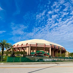 University Of South Florida