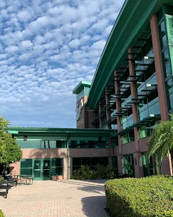 University Of South Florida