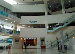 University Of South Florida