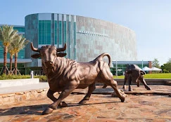 University Of South Florida