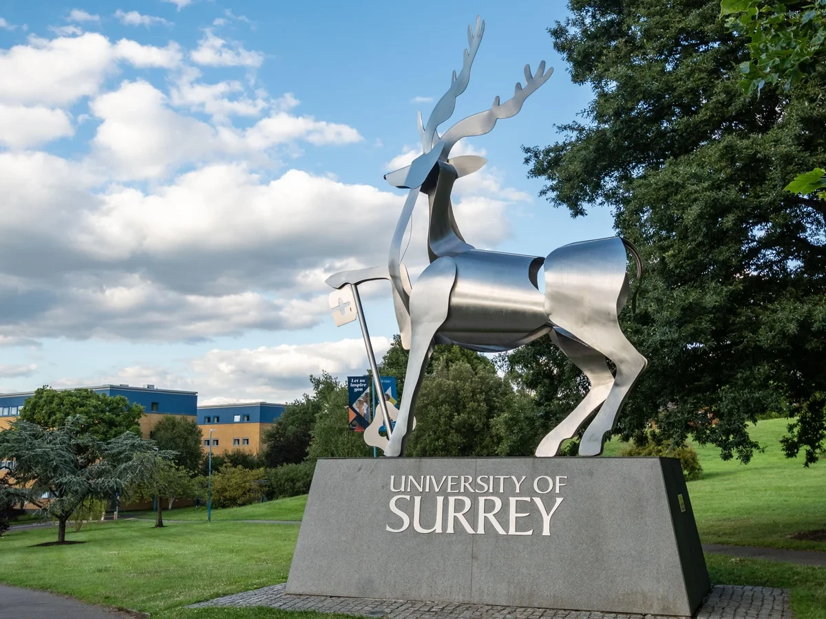 University Of Surrey