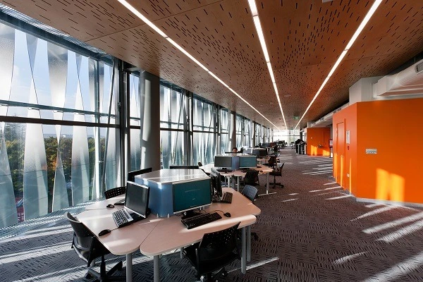 University Of Waikato