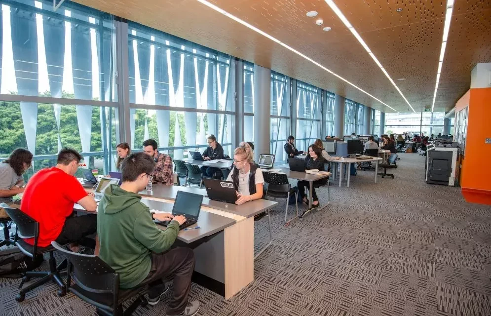 University Of Waikato