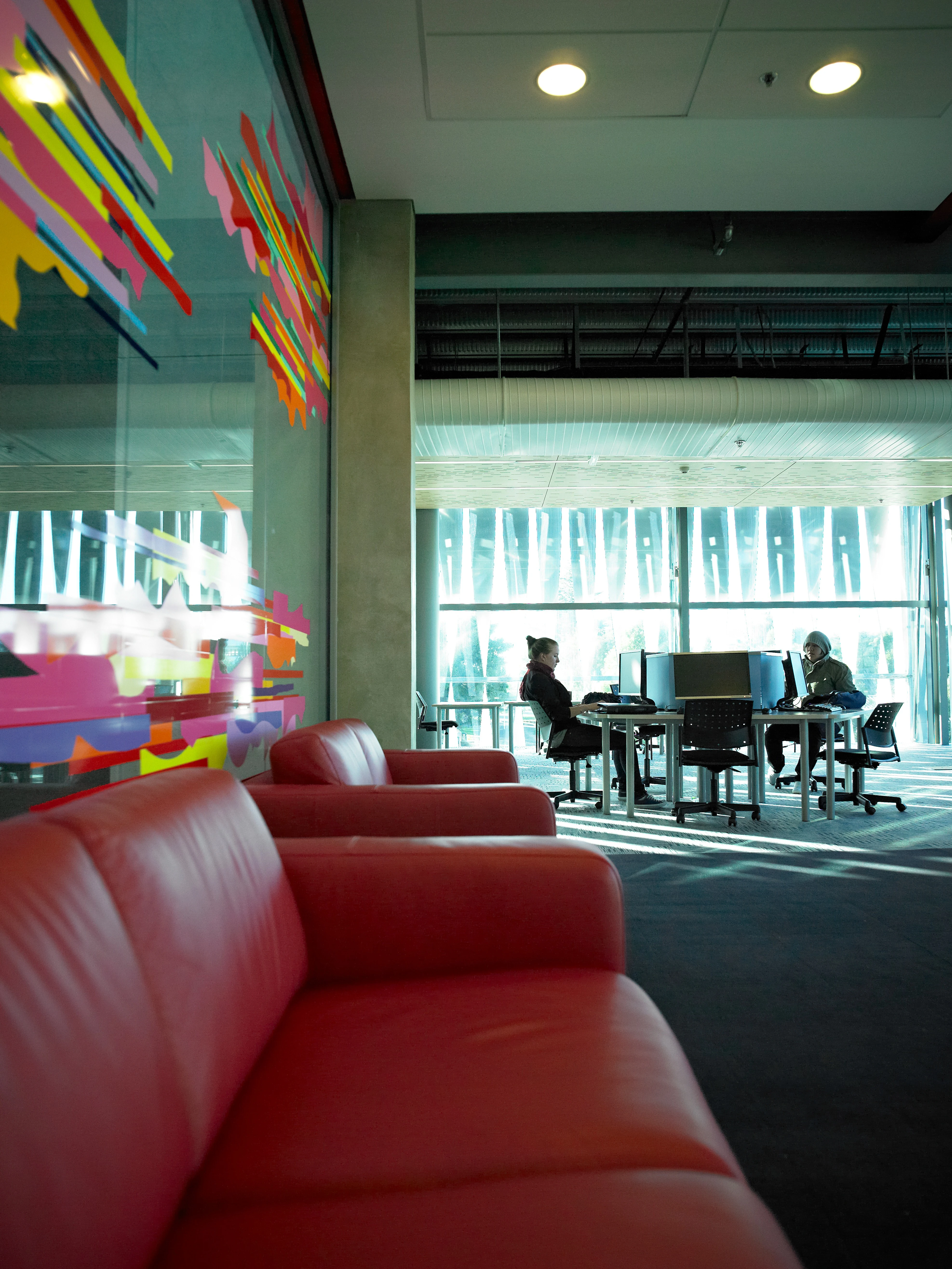 University Of Waikato